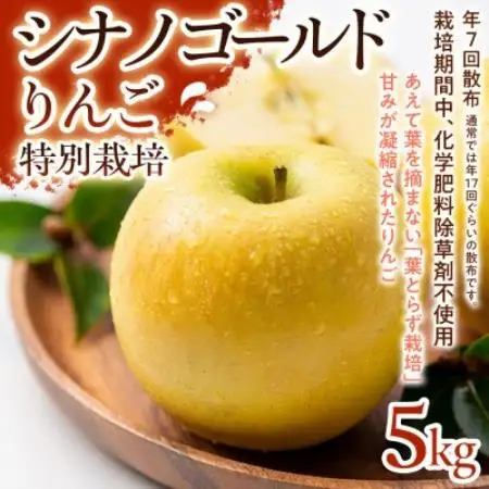 【シャキシャキ食感と爽やかな甘み】シナノゴールド 5kg 1セット【1779924】