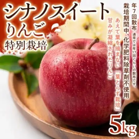 【甘みしっかり】シナノスイート 5kg 1セット【1779934】