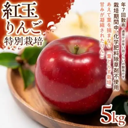【しっかりした酸味】紅玉(こうぎょく) 5kg 1セット【1780227】