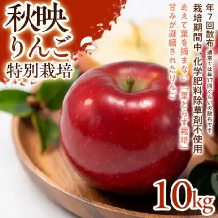 【濃厚な甘みと酸味】秋映(あきばえ)10kg 1セット【1780229】