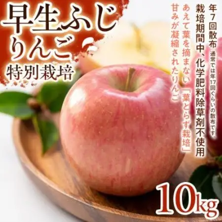 【みずみずしい甘さと軽やかな食感】早生ふじ 10kg 1セット【1780233】