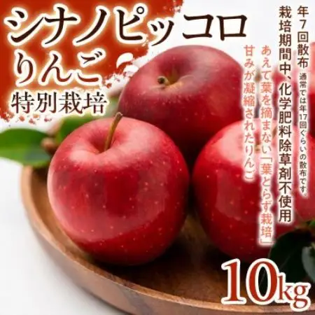 【食べきりやすい小玉サイズ】シナノピッコロ 10kg 1セット【1780235】