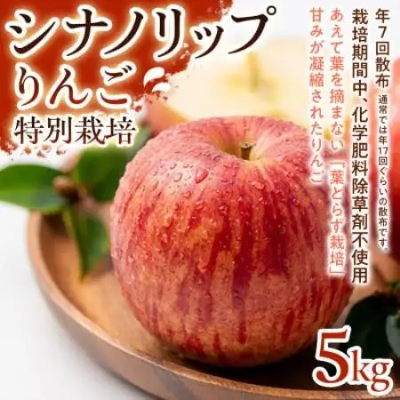 【爽やかな甘酸っぱさ】シナノリップ 5kg 1セット【1780238】