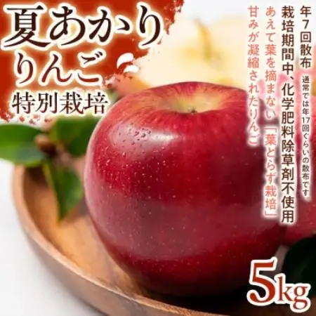 【さっぱりとした甘さと爽やかな味わい】夏あかり 5kg 1セット【1780245】
