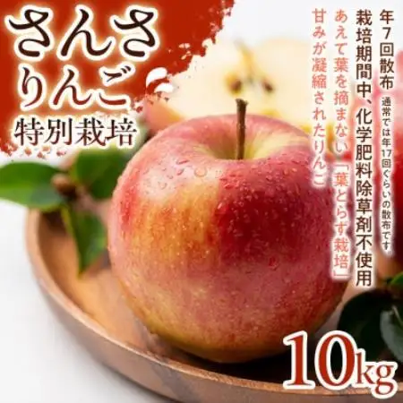 【ほどよい酸味と甘み】さんさ 10kg 1セット【1780248】