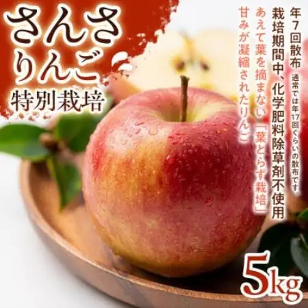 【ほどよい酸味と甘み】さんさ 5kg 1セット【1780250】