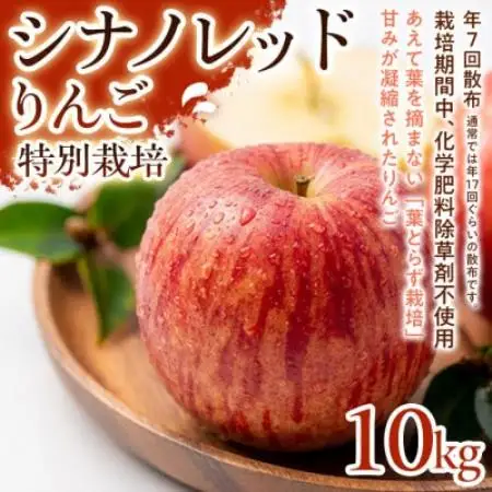 【軽やかな甘さと食べやすさ】シナノレッド 10kg 1セット【1780252】
