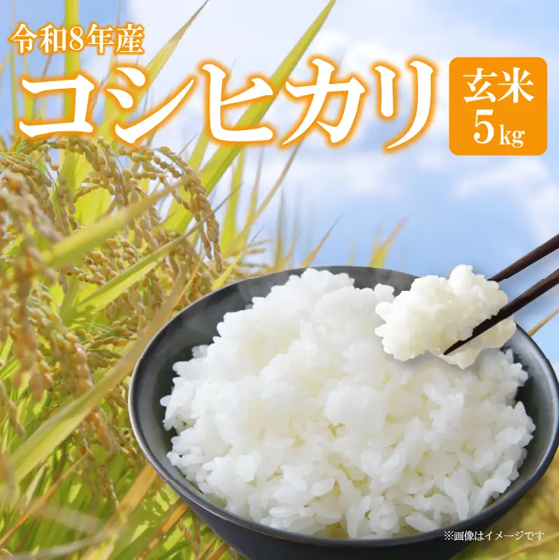 【 新米予約 】 令和8年産 コシヒカリ 5kg 滋賀県 日野町 産地直送 ふるさと納税 玄米 DG008_R8