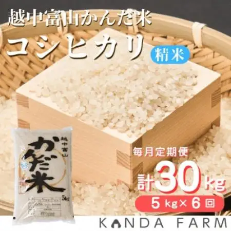 【毎月定期便】かんだ米『コシヒカリ』　精米　5kg×1袋全6回【4092393】