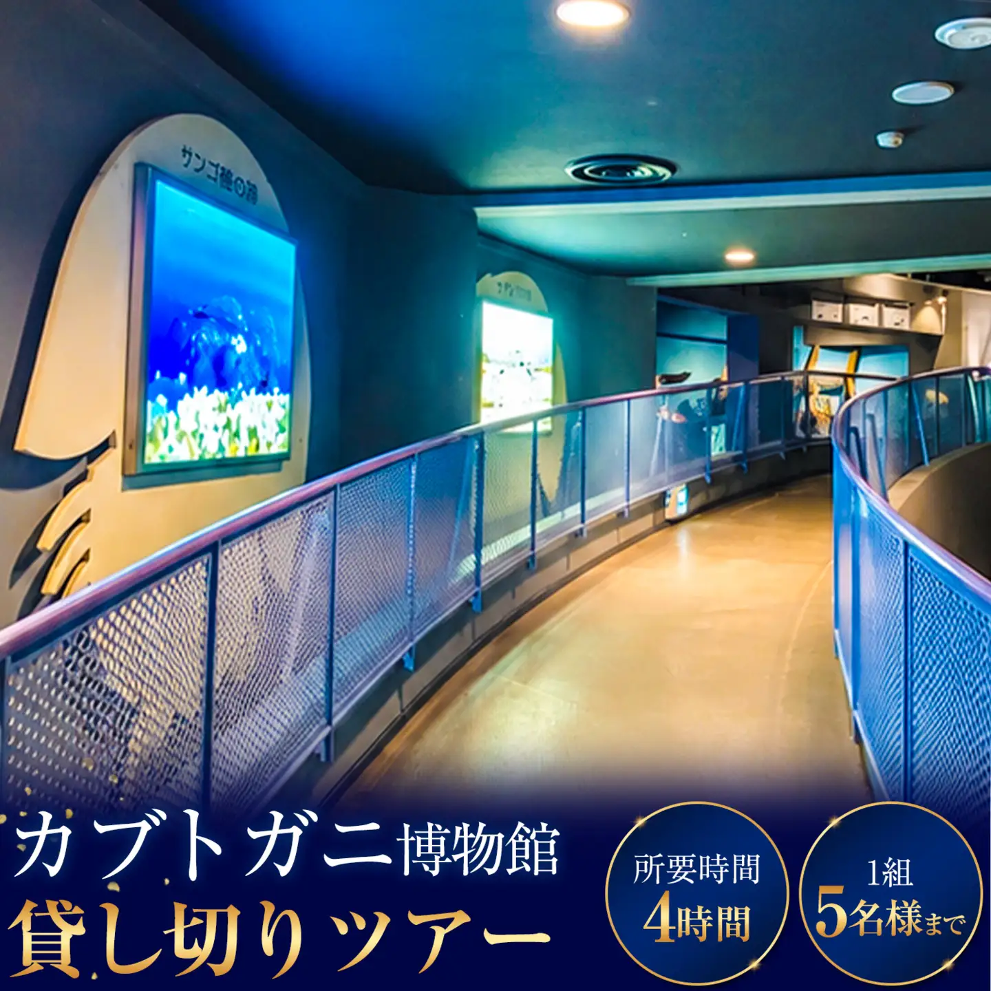 カブトガニ博物館貸し切り！カブトガニづくしツアー  5名様まで カブトガニ博物館