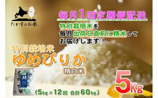 【 12回定期便 】 ゆめぴりか （ 精白米 ） 約5kg （ 約5kg × 1袋 ） 米 白米 精米 ブランド米 ごはん 鷹栖町産 国産 定期便 定期配送 【 2026年10月上旬発送開始予定 】 