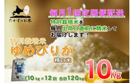 【 12回定期便 】 ゆめぴりか （ 精白米 ） 約10kg （ 約10kg × 1袋 ） 米 白米 精米 ブランド米 ごはん 鷹栖町産 国産 定期便 定期配送 【 2026年10月上旬発送開始予定 】