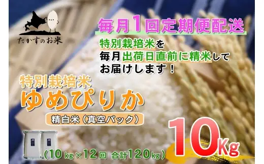 【 12回定期便 】 ゆめぴりか （ 精白米 ） 真空パック 約10kg （ 約5kg × 2袋 ） 米 白米 精米 ブランド米 ごはん 鷹栖町産 国産 定期便 定期配送 【 2026年10月上旬発送開始予定 】