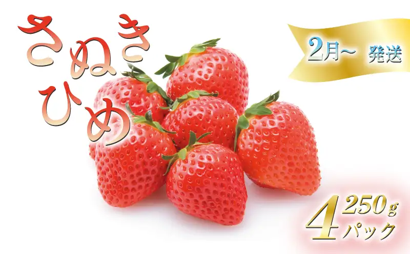 【2027年2月中旬以降発送予定】 いちご さぬきひめ 約1kg (250✕4パック)  いちご