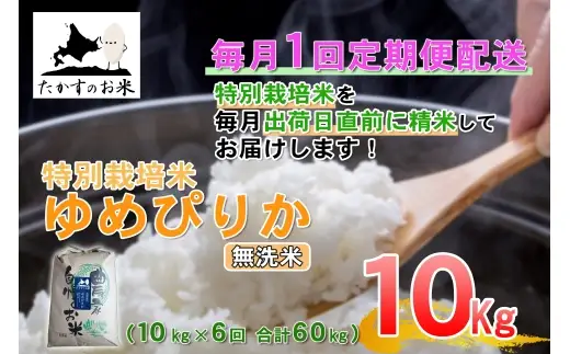 【 6回定期便 】 【 令和8年産 】 ゆめぴりか （ 無洗米 ） 約10kg （ 約10kg × 1袋 ） 米 ブランド米 ごはん 鷹栖町産 国産 定期便 定期配送 【 2026年10月上旬発送開始予定 】 