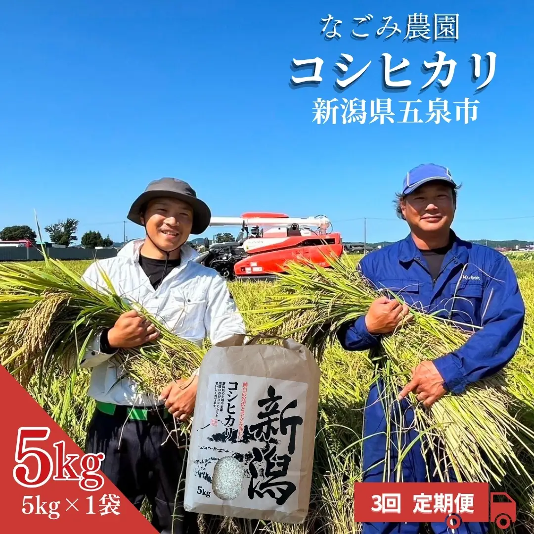 【3回定期便】コシヒカリ 5kg なごみ農園 新潟｜コシヒカリ こしひかり