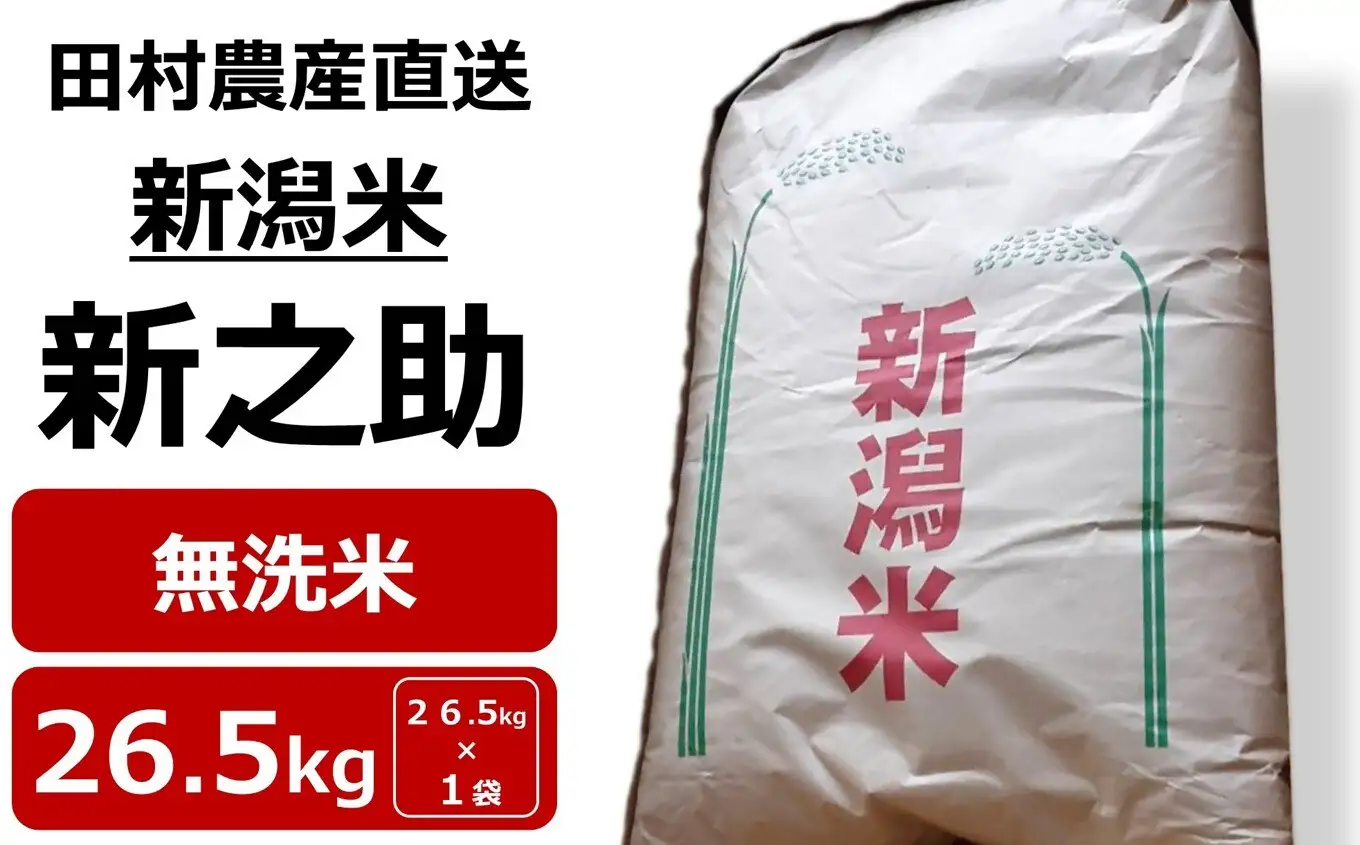 【新米先行予約】令和8年産米 新之助 （精米済 無洗米） 26.5kg 田村農産[Y0651]