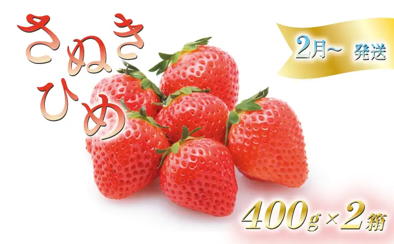 【2027年2月上旬以降発送予定】 いちご さぬきひめ 約800g (400✕2箱) 化粧箱入り  いちご