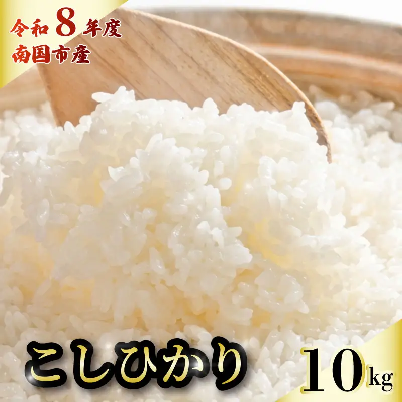 【令和8年 南国市産】 白米 10kg コシヒカリ 精米