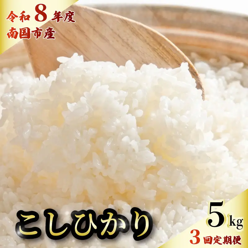 【令和8年 南国市産】 白米 5kg コシヒカリ 精米 3回定期便