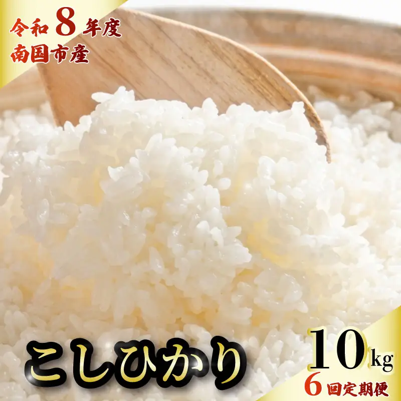 令和8年 南国市産】 白米 10kg コシヒカリ 精米 6回定期便 | 高知県