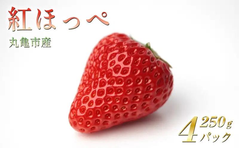 【2027年2月上旬以降発送予定】 いちご 紅ほっぺ 約1kg (250g✕4パック)  いちご