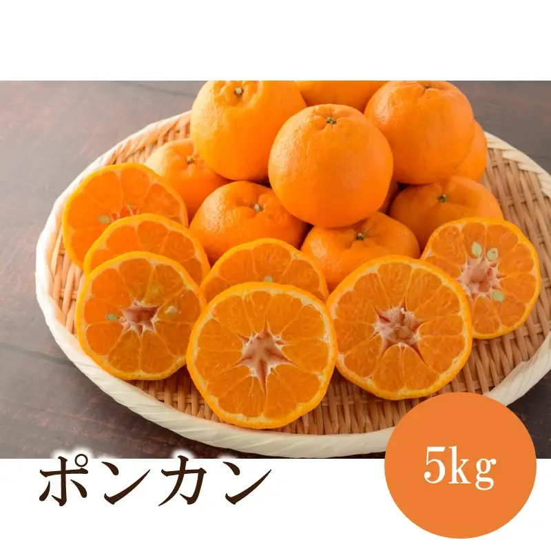 ポンカン 5kg ≪先行予約≫2027年1月頃から順次発送予定【1377】