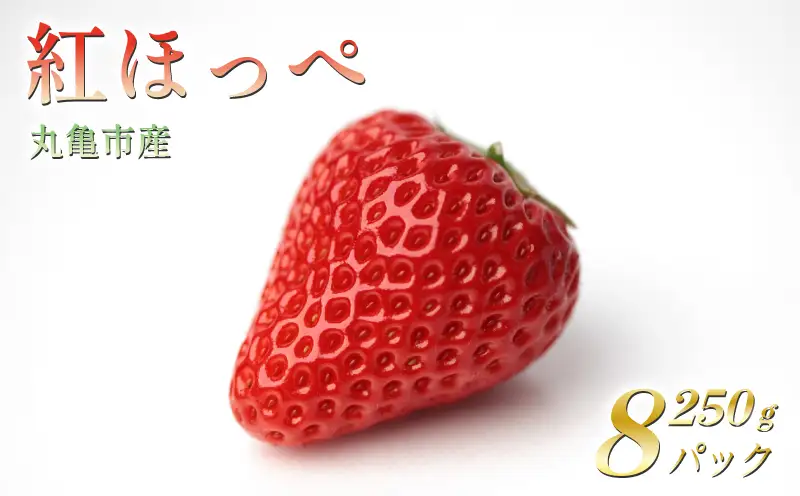 【2027年2月上旬以降発送予定】 いちご 紅ほっぺ 約2kg (250g✕8パック)  いちご