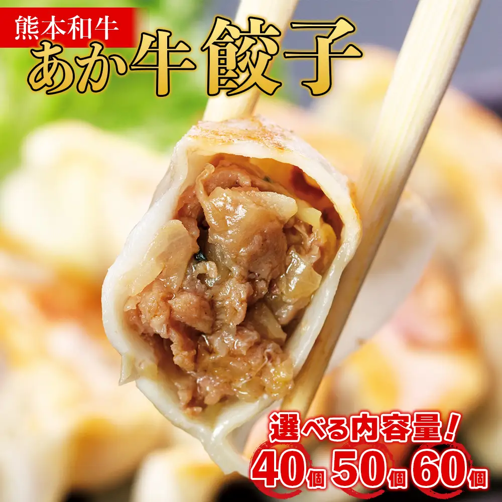 選べる内容量 熊本和牛 あか牛 餃子 【60個】