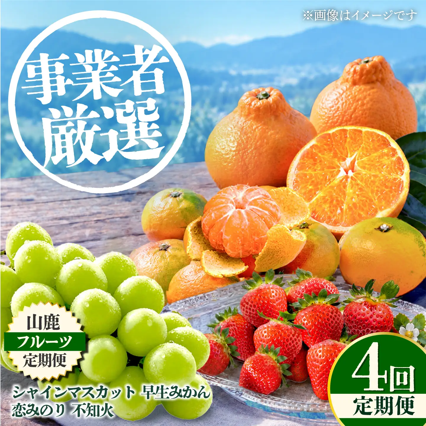 【先行予約】【4回定期便】 フルーツの名産地 山鹿から直送する旬のフルーツ シャインマスカット 早生 みかん いちご 恋みのり 不知火 [ZZZ007]