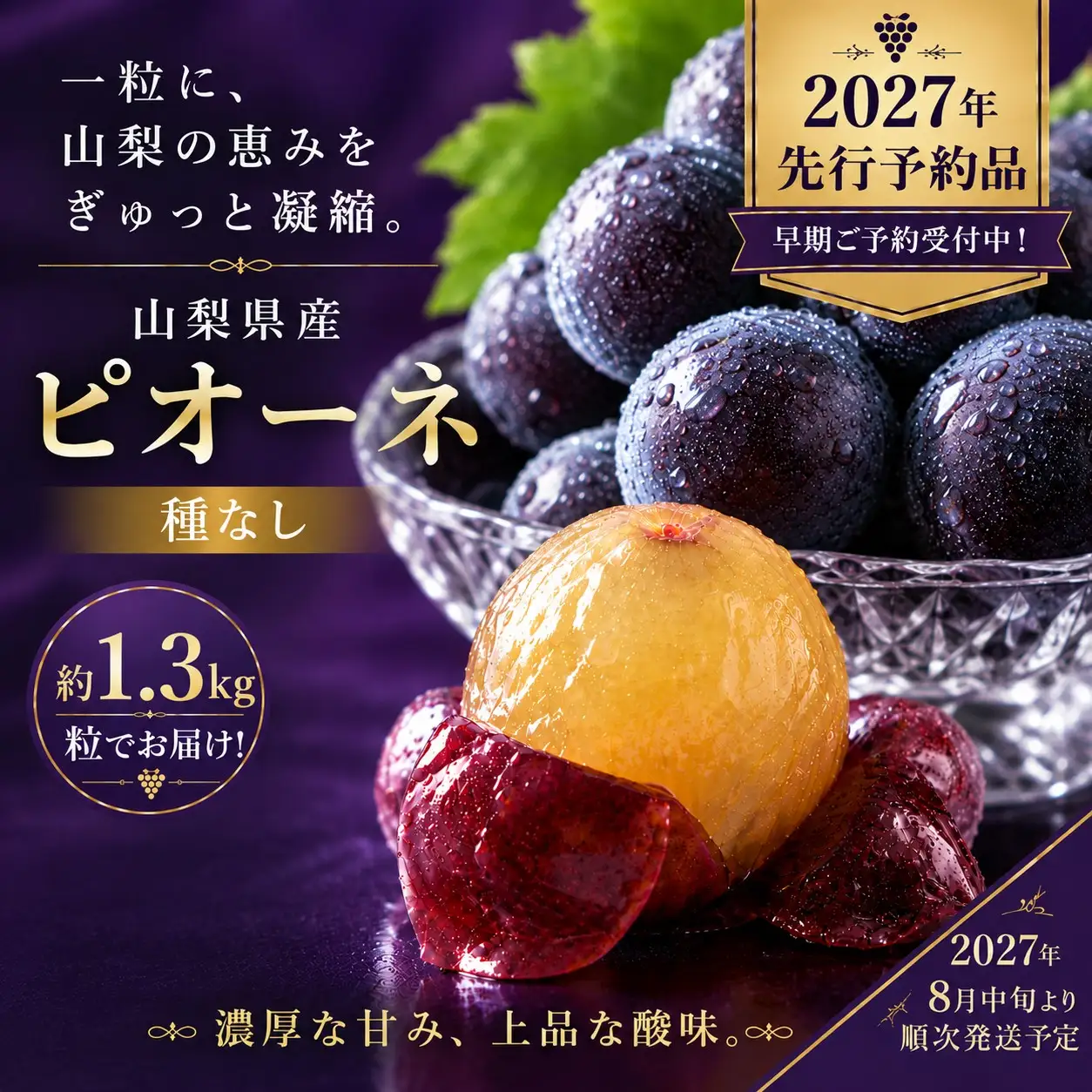 【2027年先行予約】ピオーネ 約1.3kg （粒）