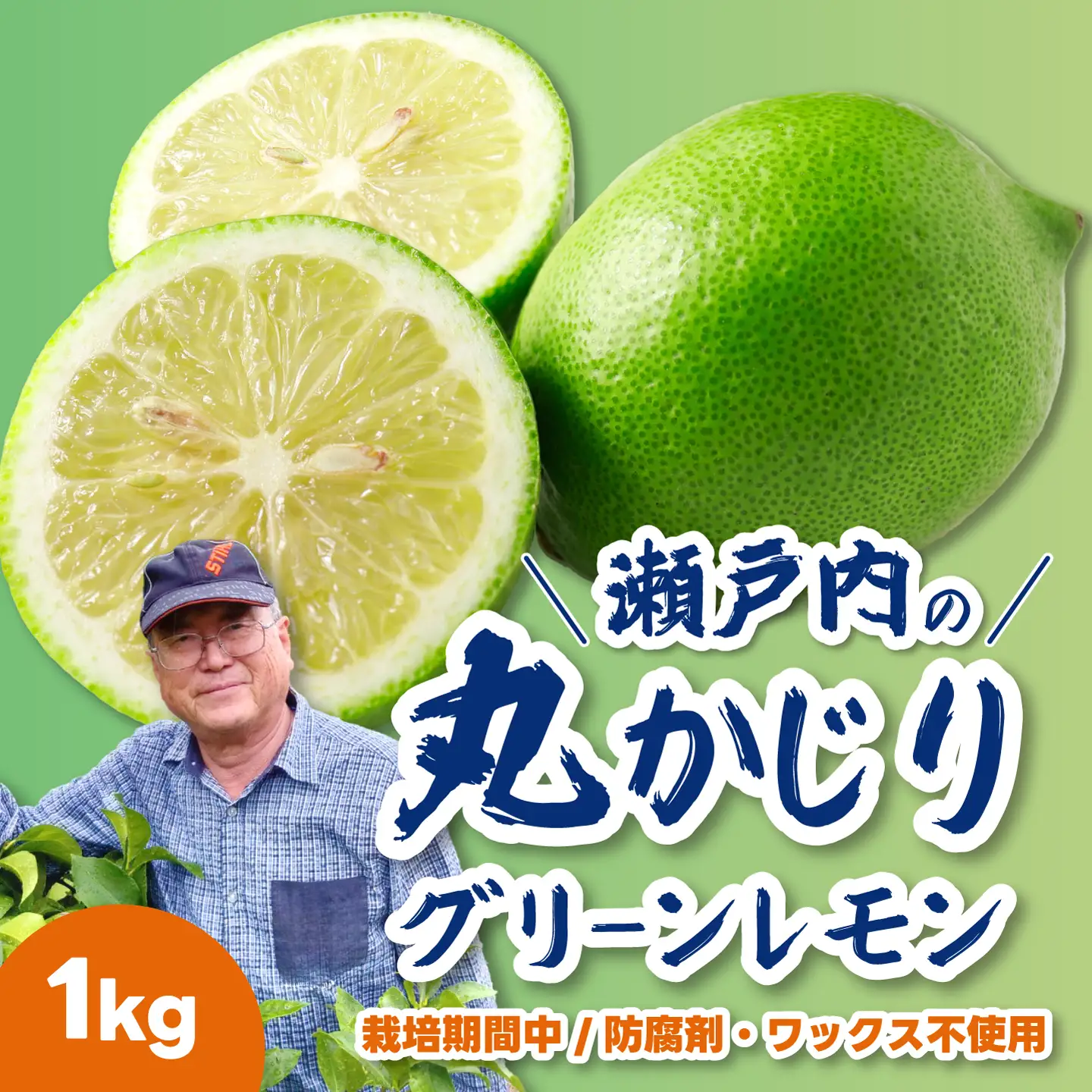 グリーンレモン1kg 《栽培期間中：防腐剤・ワックス不使用》2026年10月発送予定 檸檬 柑橘 果物 くだもの フルーツ 瀬戸内 251001