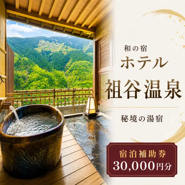 ホテル祖谷温泉 宿泊券 30,000円分 徳島県 三好市 旅行 【 ホテル 】