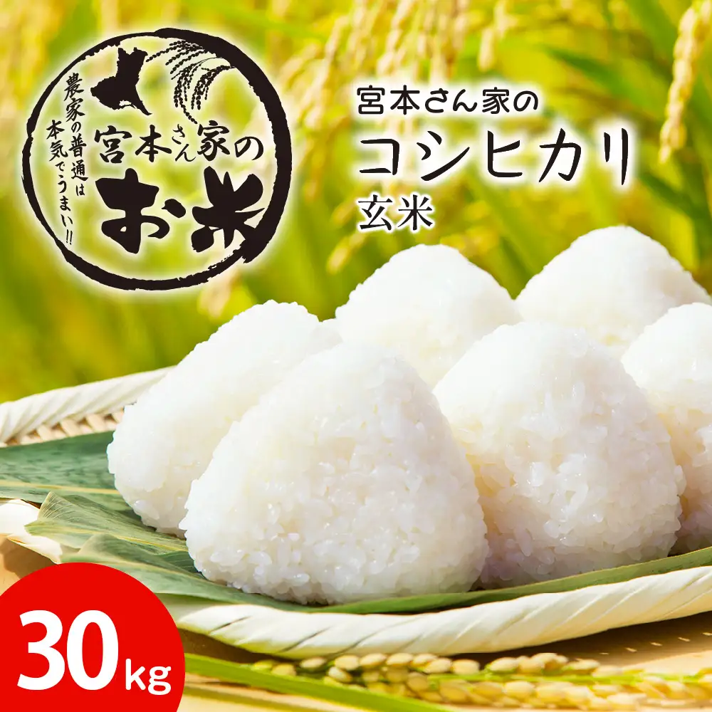 【令和8年産】茨城県稲敷市産 宮本さん家のこしひかり ＜玄米＞30kg(1袋) [2848]
