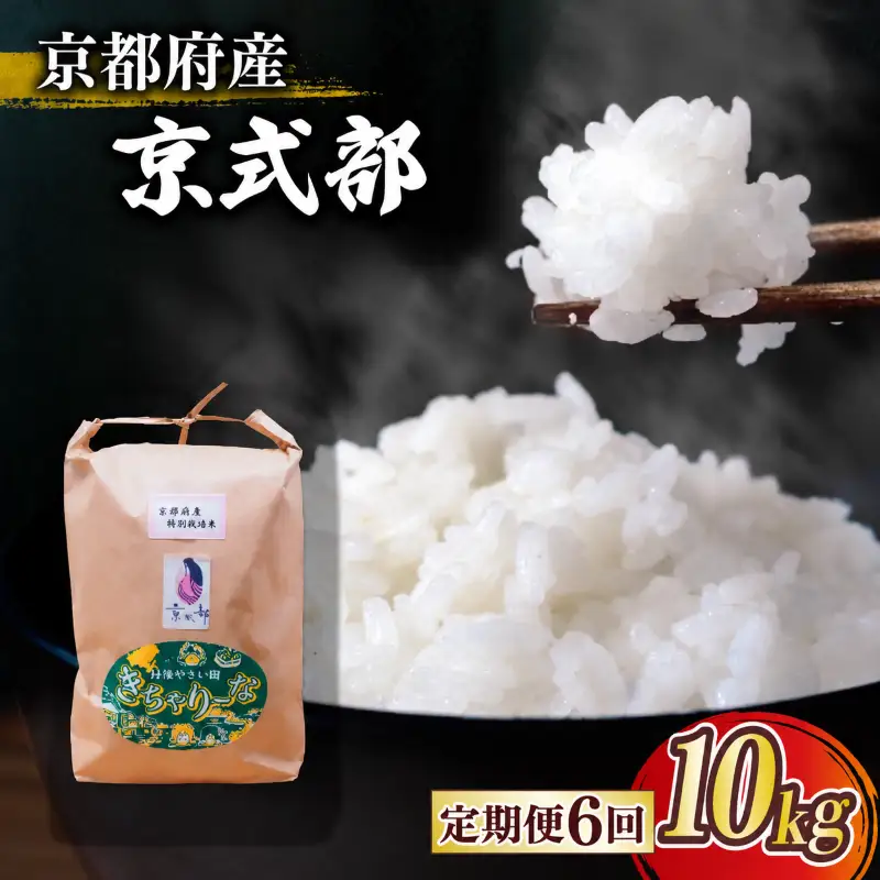 【令和8年産】新米 定期便 京都府産米 京式部 10kg 6回定期便 ブランド米 
