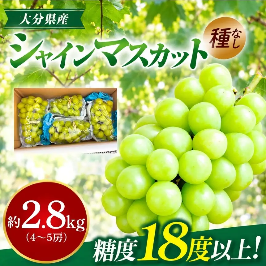 シャインマスカット 約2.8kg ( 4～5房 ) | フルーツ 果物 ぶどう 種