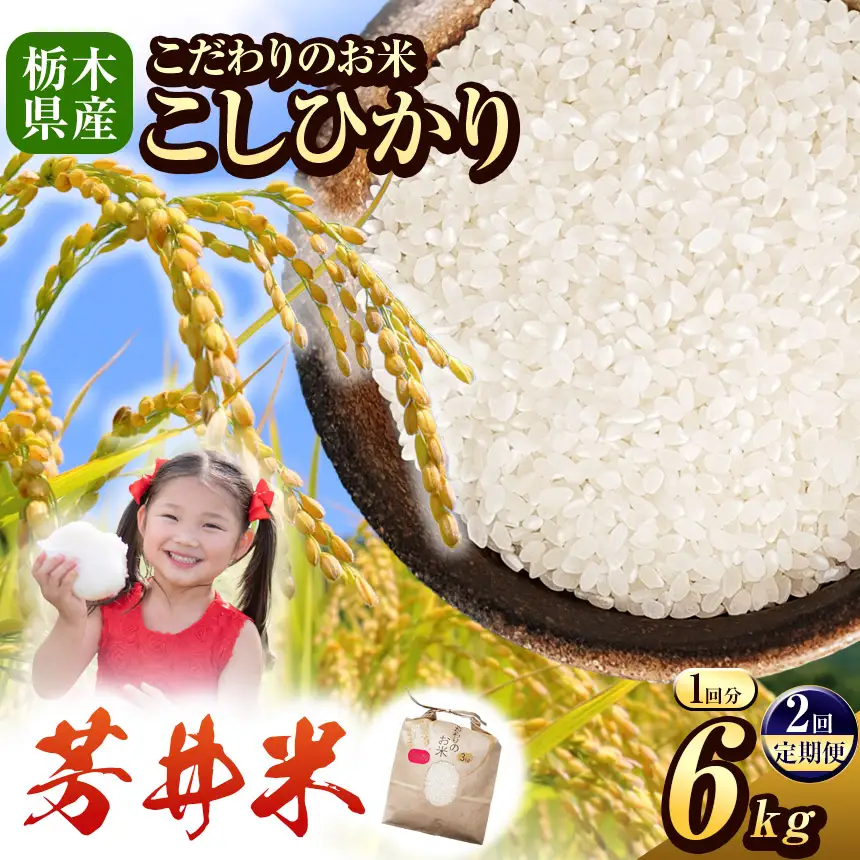 【定期2回】令和8年度産 新米 那珂川町産芳井米 3kg×2｜栃木県 那珂川町 送料無料