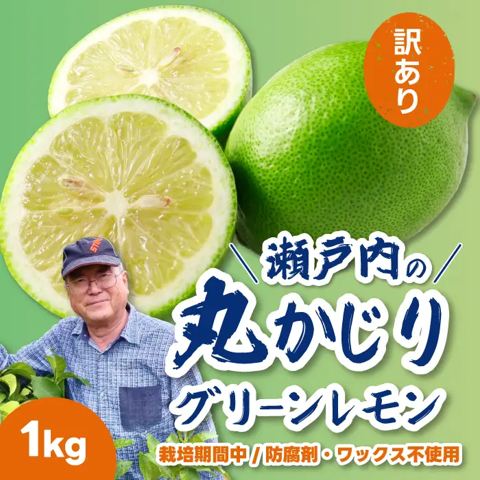 【訳あり】グリーンレモン1kg 《栽培期間中：防腐剤・ワックス不使用》2026年10月発送予定 檸檬 柑橘 果物 くだもの フルーツ 瀬戸内 251004
