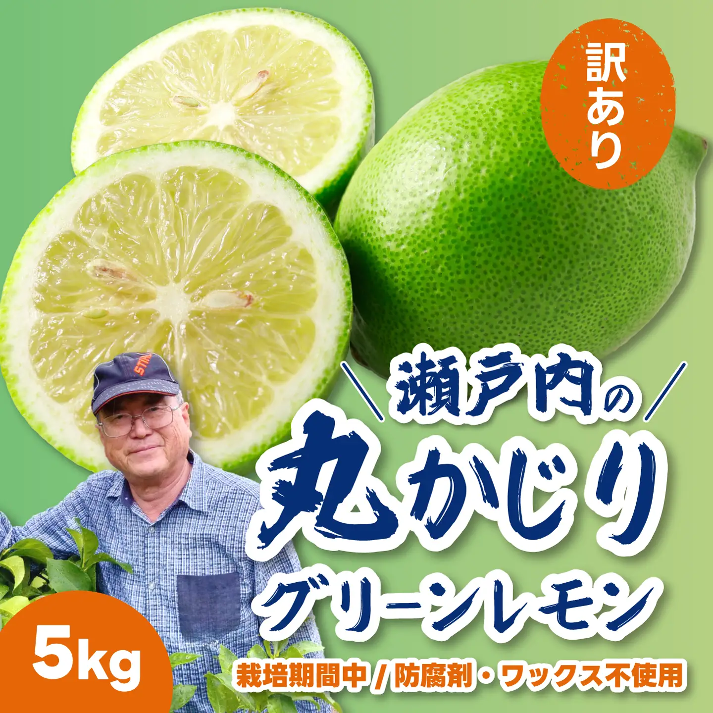 【訳あり】グリーンレモン5kg 《栽培期間中：防腐剤・ワックス不使用》2026年10月発送予定 檸檬 柑橘 果物 くだもの フルーツ 瀬戸内 251006