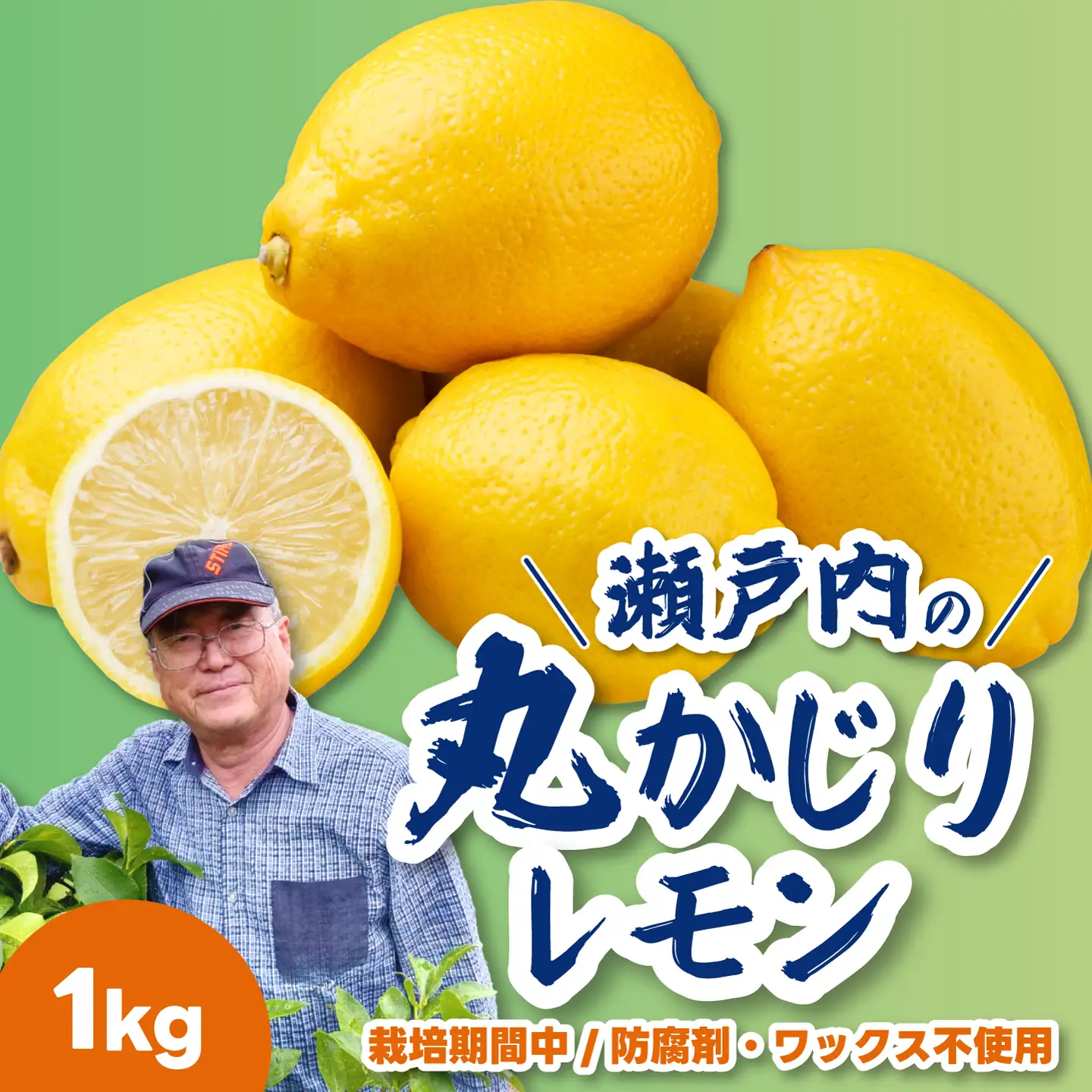【先行受付】レモン1kg 《栽培期間中：防腐剤・ワックス不使用》2026年12月発送予定 檸檬 柑橘 果物 くだもの フルーツ 瀬戸内 251007