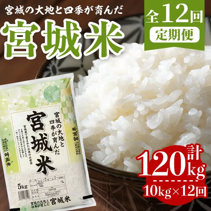 【12回定期便】宮城米 計120kg (10kg×12回配送) ブレンド米 業務用 お米 おこめ 米 コメ 白米 ご飯 ごはん おにぎり お弁当 頒布会 【登米ライスサービス株式会社】tm834