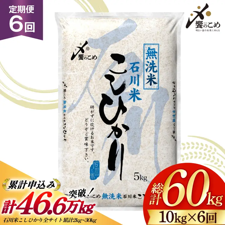 米 定期便 無洗米 石川米 こしひかり 10kg ( 5kg 2袋) 6回 総計60kg 令和8年産 新米