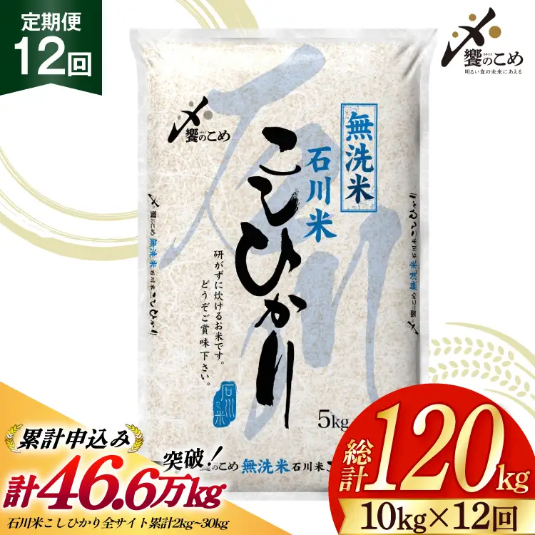 米 定期便 無洗米 石川米 こしひかり 10kg ( 5kg 2袋) 12回 総計120kg 令和8年産 新米