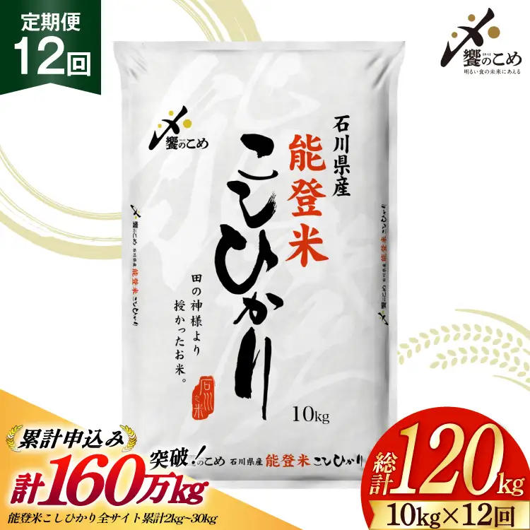米 定期便 能登米 こしひかり 10kg ×12回 総計 120kg 精米 令和8年産 新米