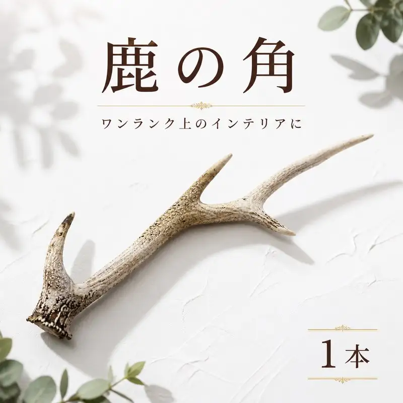 鹿の角 1本 インテリア 鹿角 ジビエ 【 鹿の角 】