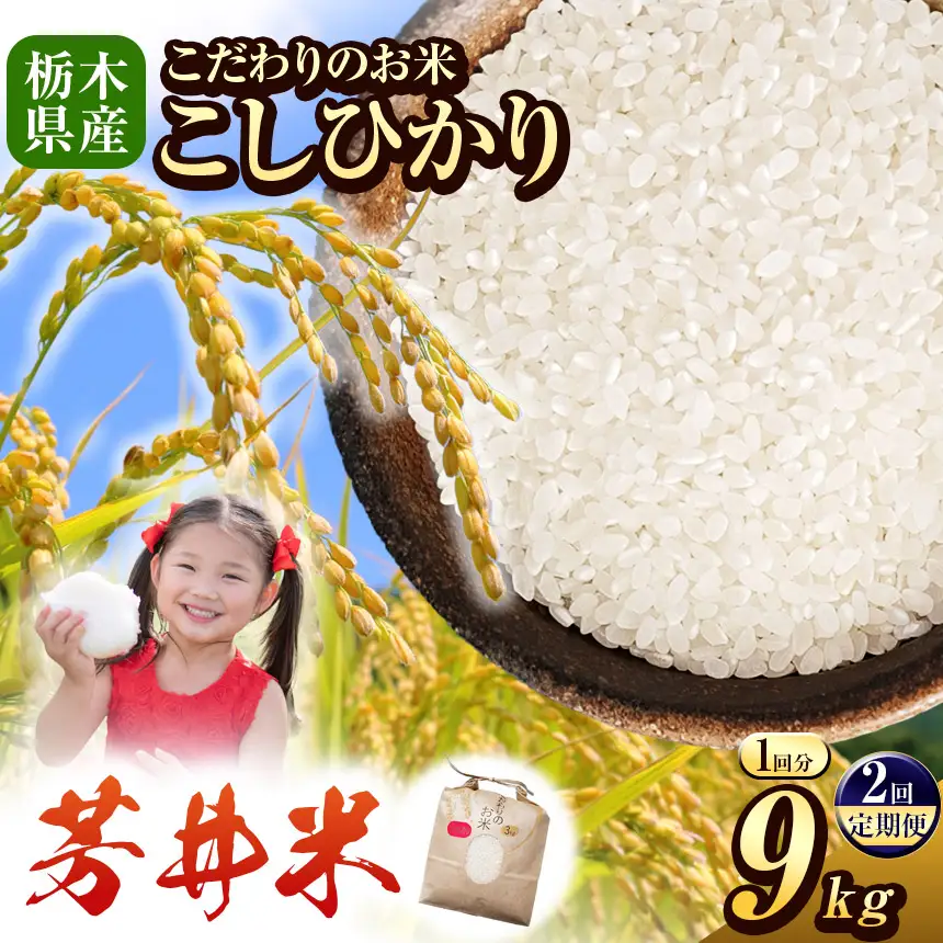 【定期2回】令和8年度産 新米 那珂川町産芳井米 3kg×3｜栃木県 那珂川町 送料無料