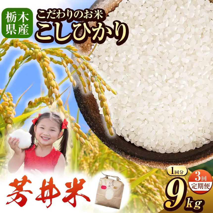 【定期3回】令和8年度産 新米 那珂川町産芳井米 3kg×3｜栃木県 那珂川町 送料無料