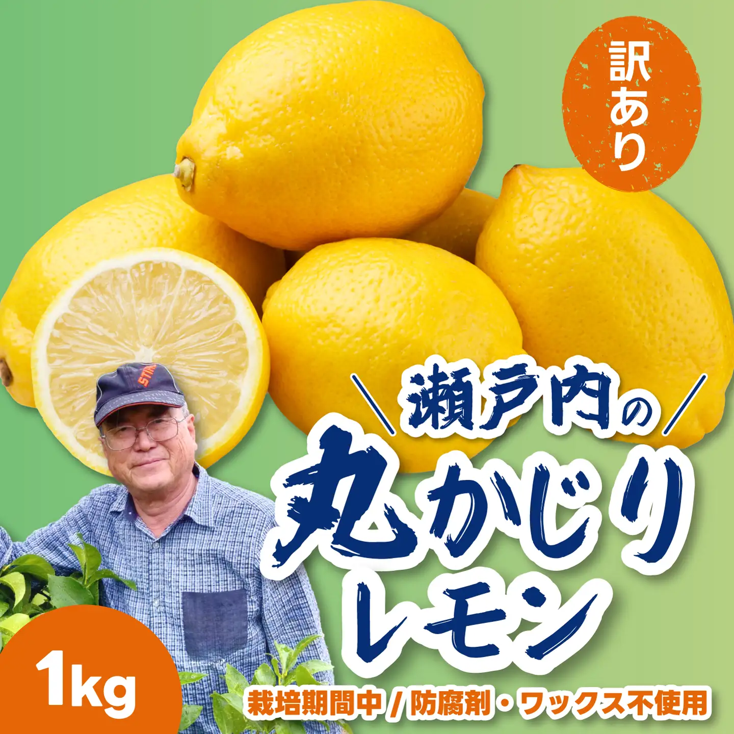 【先行受付】《訳あり》レモン1kg 《栽培期間中：防腐剤・ワックス不使用》2026年12月発送予定 檸檬 柑橘 果物 くだもの フルーツ 瀬戸内 251010