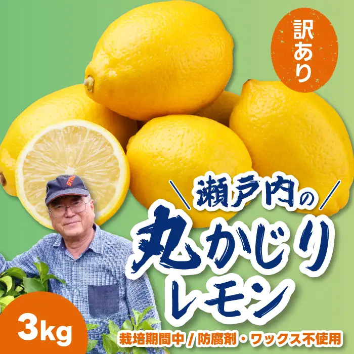 【先行受付】《訳あり》レモン3kg 《栽培期間中：防腐剤・ワックス不使用》2026年12月発送予定 檸檬 柑橘 果物 くだもの フルーツ 瀬戸内 251011