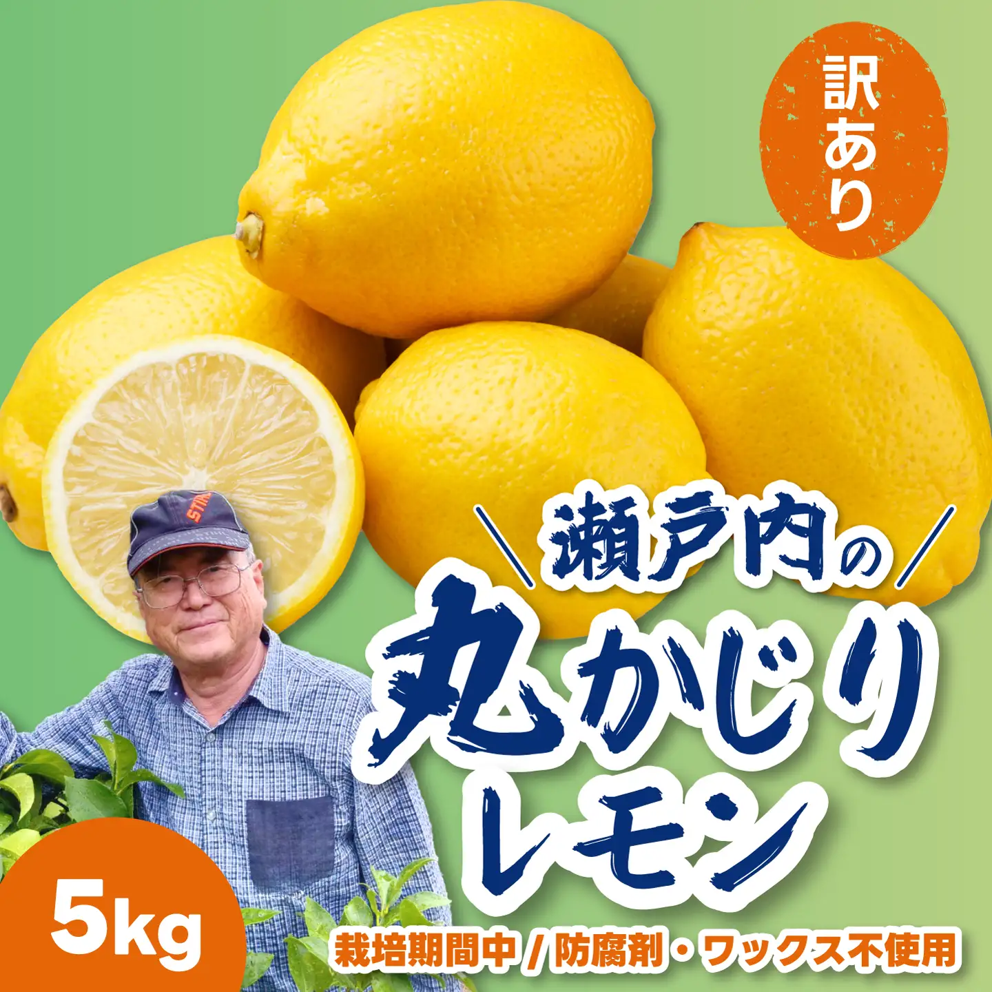 【先行受付】《訳あり》レモン5kg 《栽培期間中：防腐剤・ワックス不使用》2026年12月発送予定 檸檬 柑橘 果物 くだもの フルーツ 瀬戸内 251012